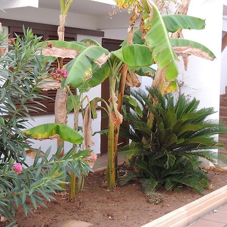 Apartamentos Sal Rossa Ibiza Town Exterior photo